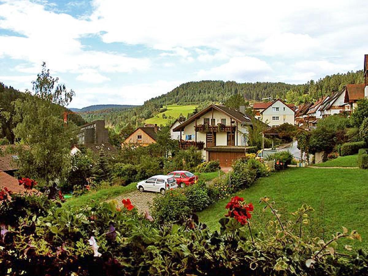 Ferienappartements-Ferienwohnung Steige Schramberg Exterior foto